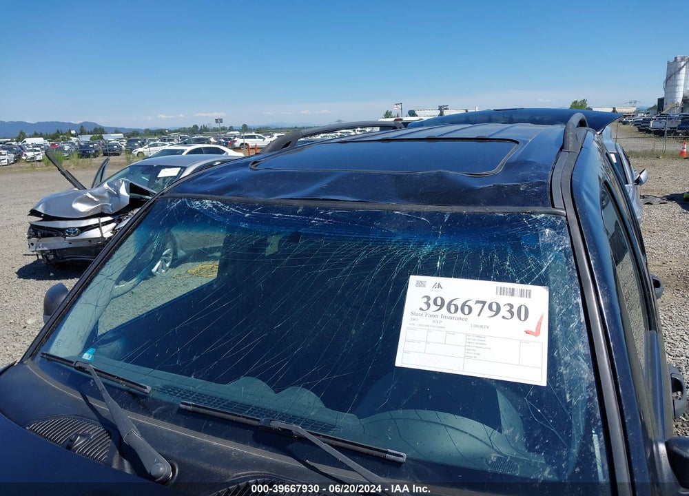 2002 JEEP LIBERTY SPORT VIN: 1J4GL48K12W130964