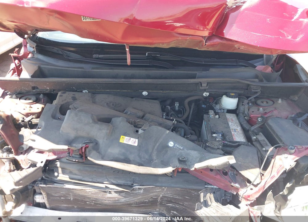 2019 TOYOTA RAV4 XLE VIN: JTMW1RFV5KD507339