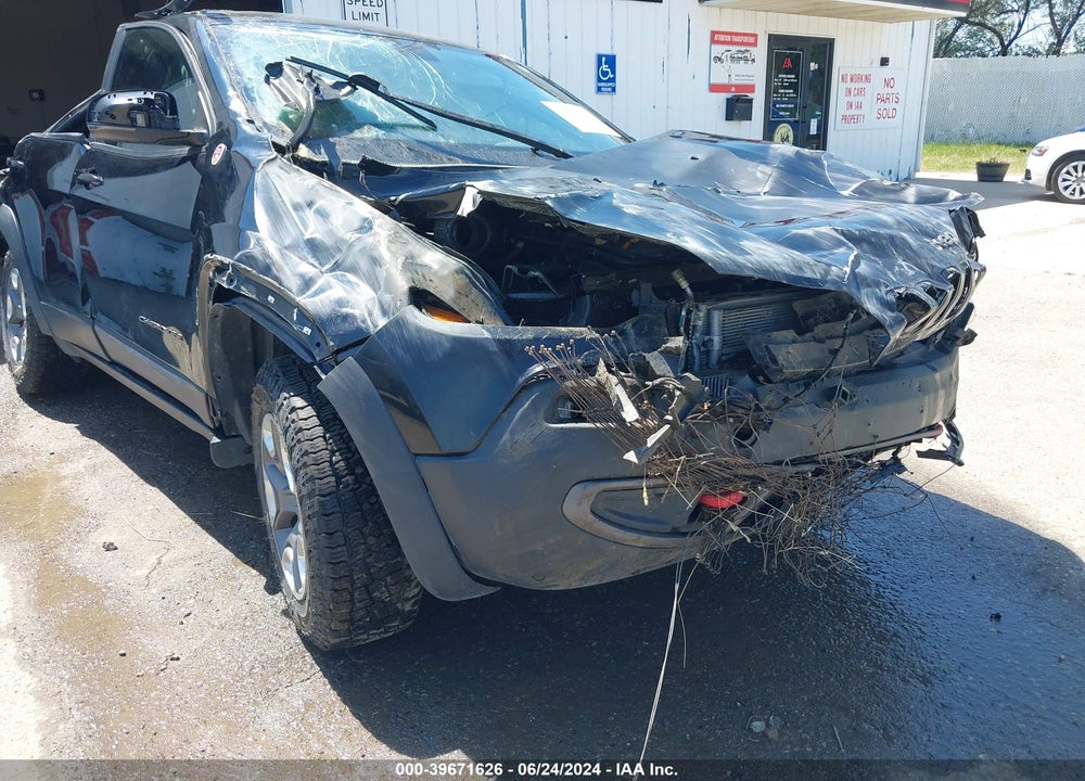 2019 JEEP CHEROKEE TRAILHAWK 4X4 VIN: 1C4PJMBX4KD328451