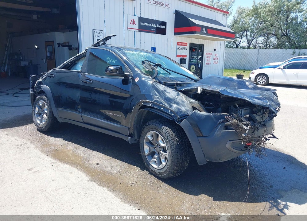 2019 JEEP CHEROKEE TRAILHAWK 4X4 VIN: 1C4PJMBX4KD328451