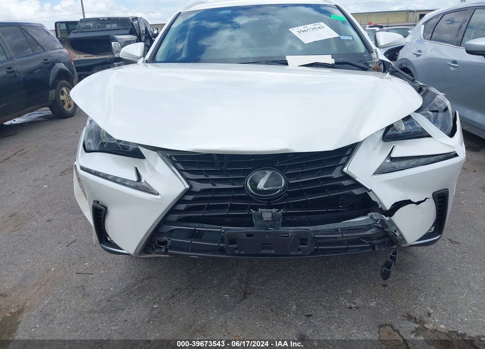 2020 LEXUS NX 300 VIN: JTJAARBZ5L5018113