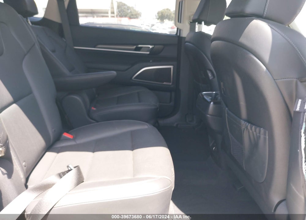 2024 KIA TELLURIDE S VIN: 5XYP6DGC9RG499313