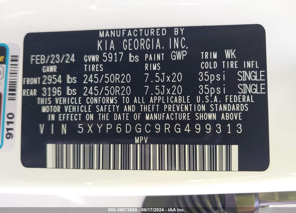 2024 KIA TELLURIDE S VIN: 5XYP6DGC9RG499313
