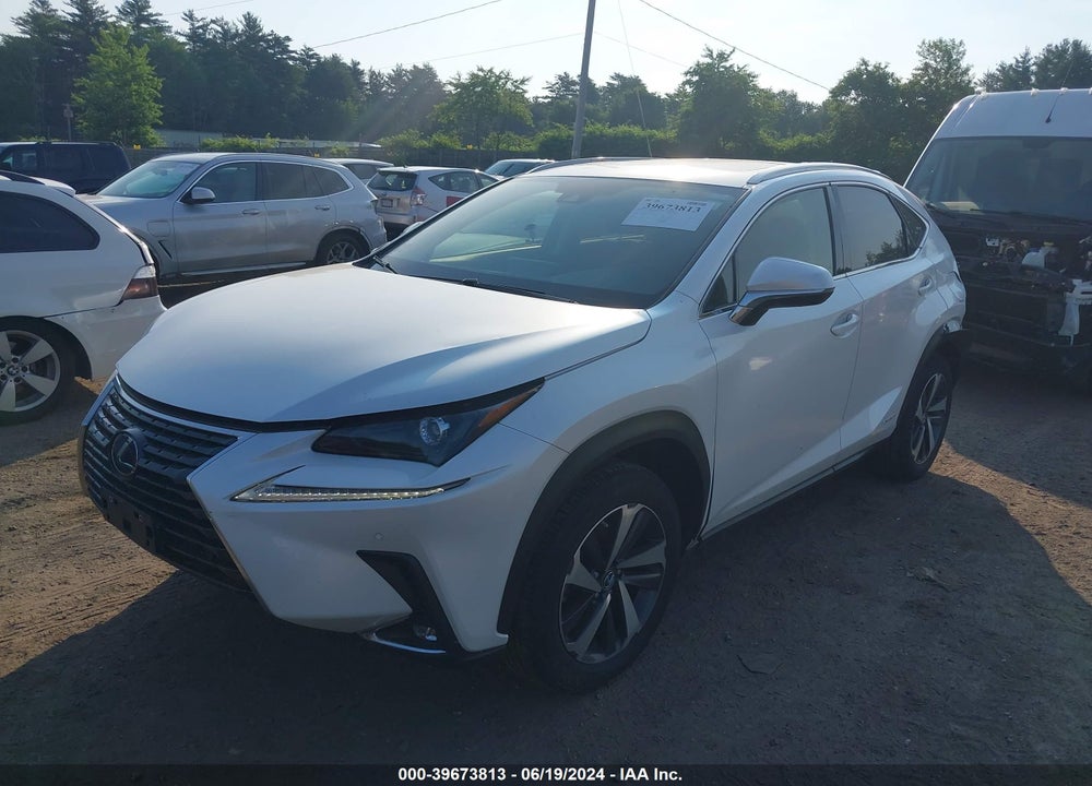 2021 LEXUS NX 300H VIN: JTJGJRDZ1M5014598