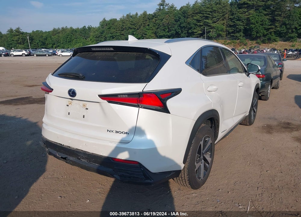 2021 LEXUS NX 300H VIN: JTJGJRDZ1M5014598