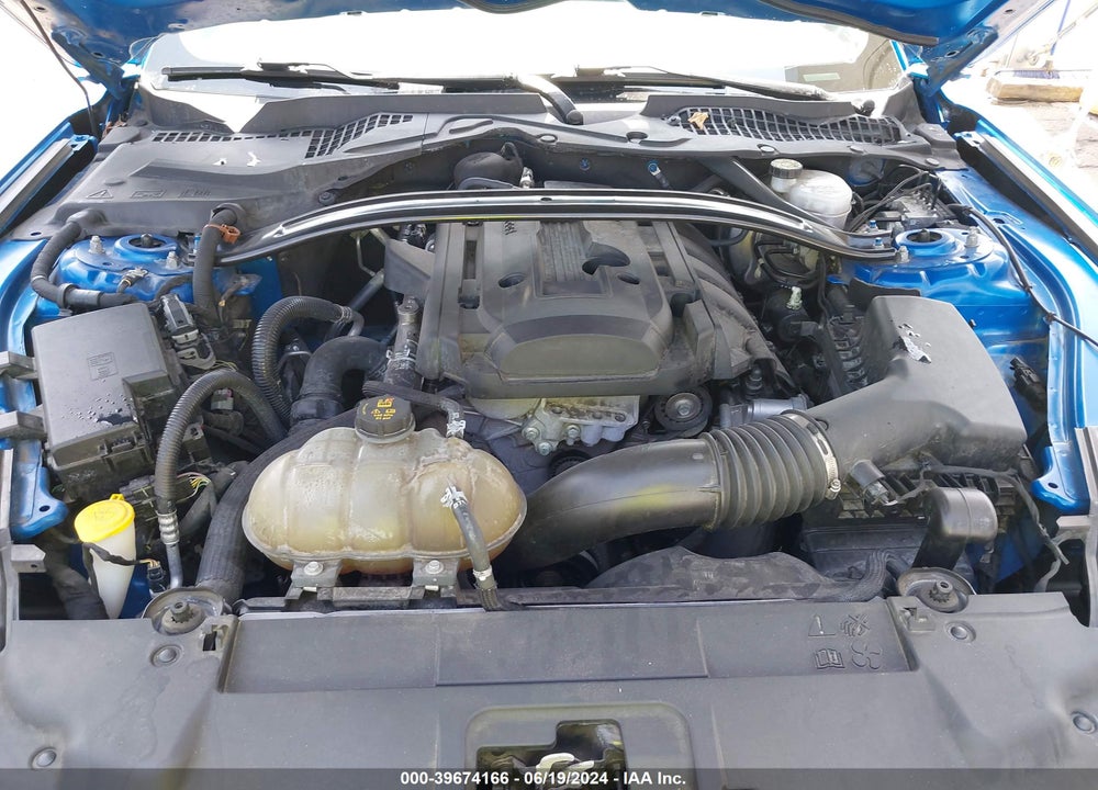 2019 FORD MUSTANG ECOBOOST VIN: 1FA6P8TH6K5106356
