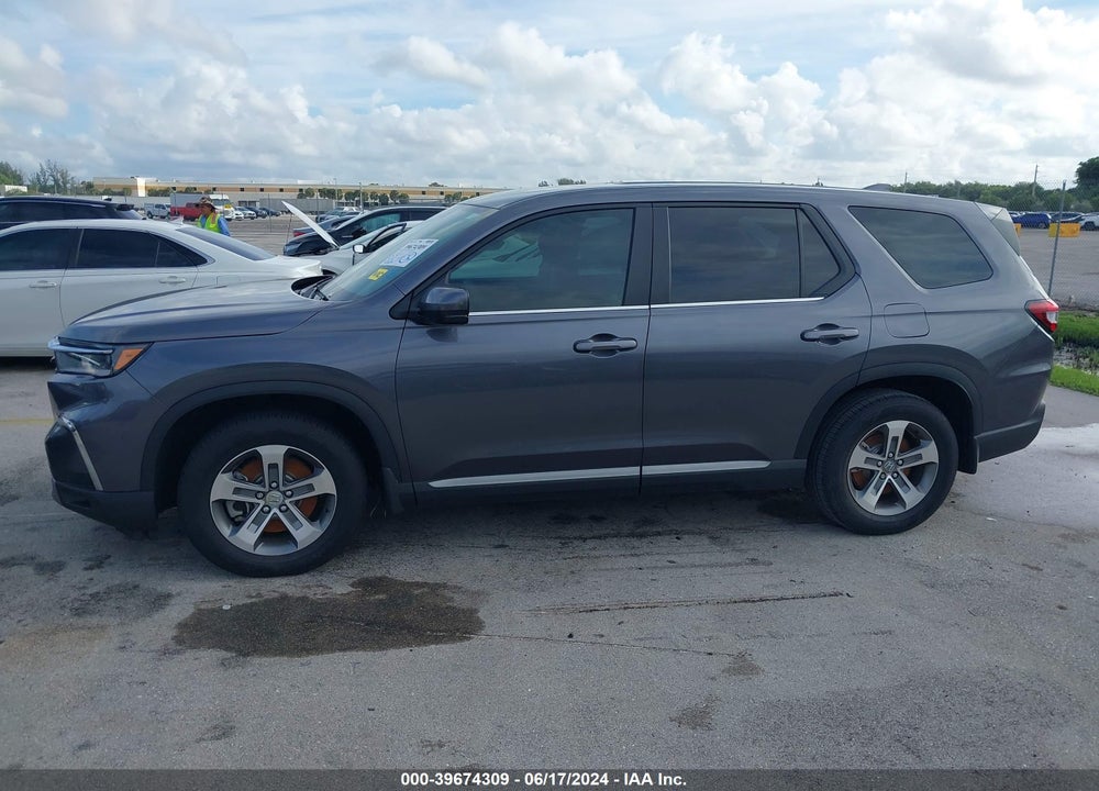 2024 HONDA PILOT 2WD EX-L 7 PASSENGER VIN: 5FNYG2H57RB009450