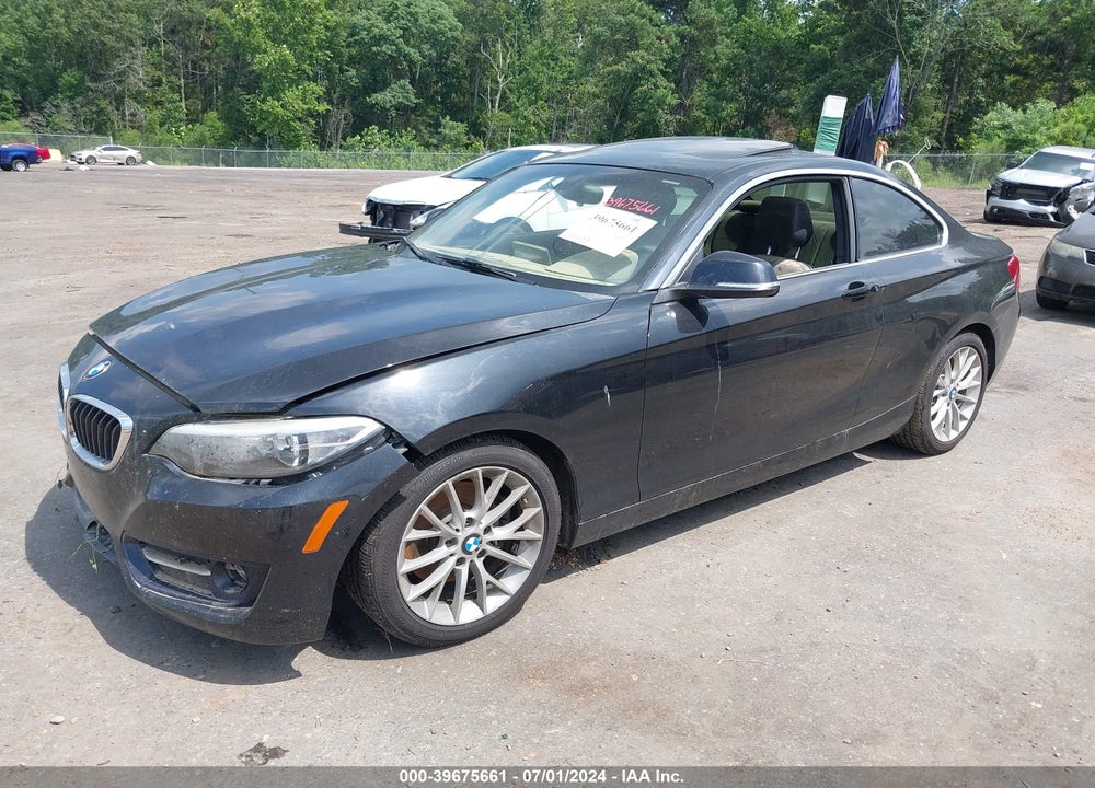 2016 BMW 228I VIN: WBA1F9C54GV546079
