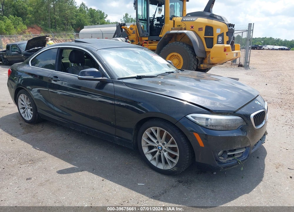 2016 BMW 228I VIN: WBA1F9C54GV546079