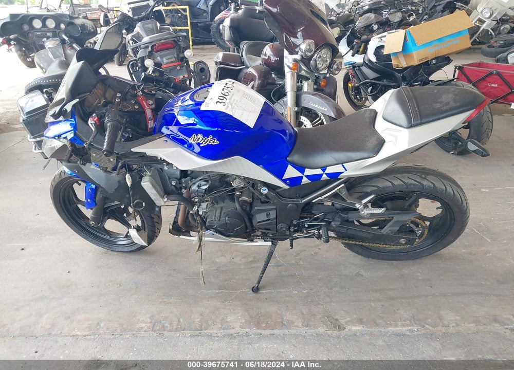 2013 KAWASAKI EX300 VIN: JKAEX8A1XDDA02499
