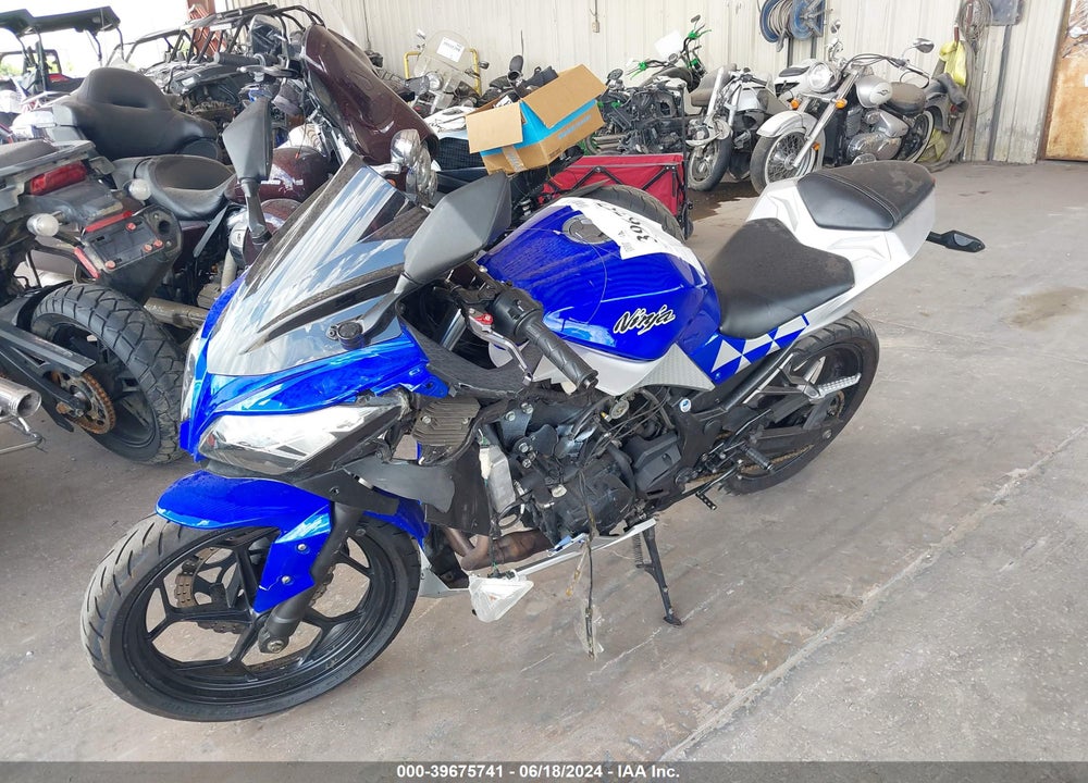 2013 KAWASAKI EX300 VIN: JKAEX8A1XDDA02499