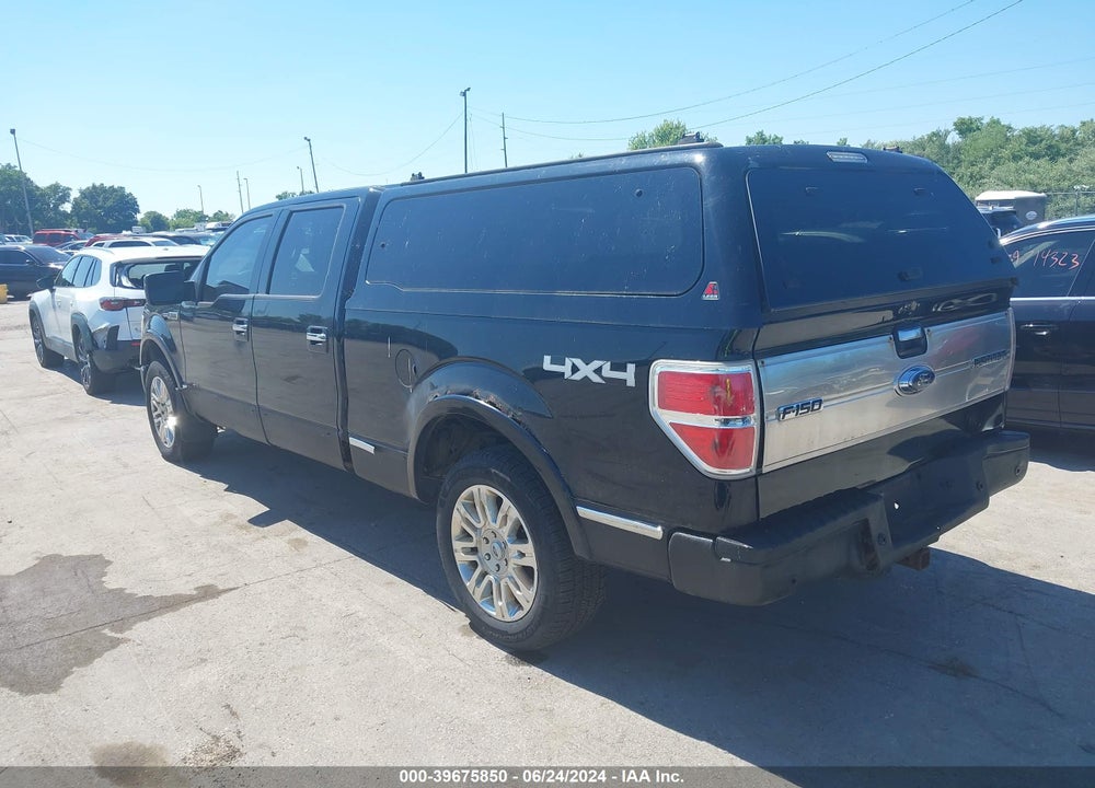 2009 FORD F-150 PLATINUM VIN: 1FTPW14V99FA39625