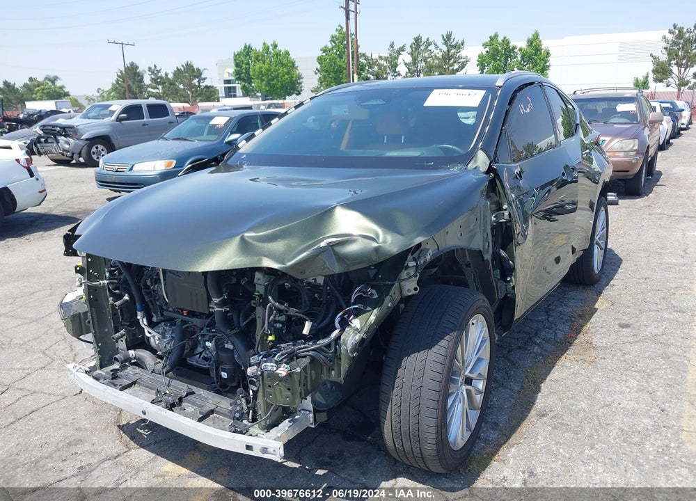 2024 LEXUS NX 350 LUXURY VIN: 2T2HGCEZ5RC033839