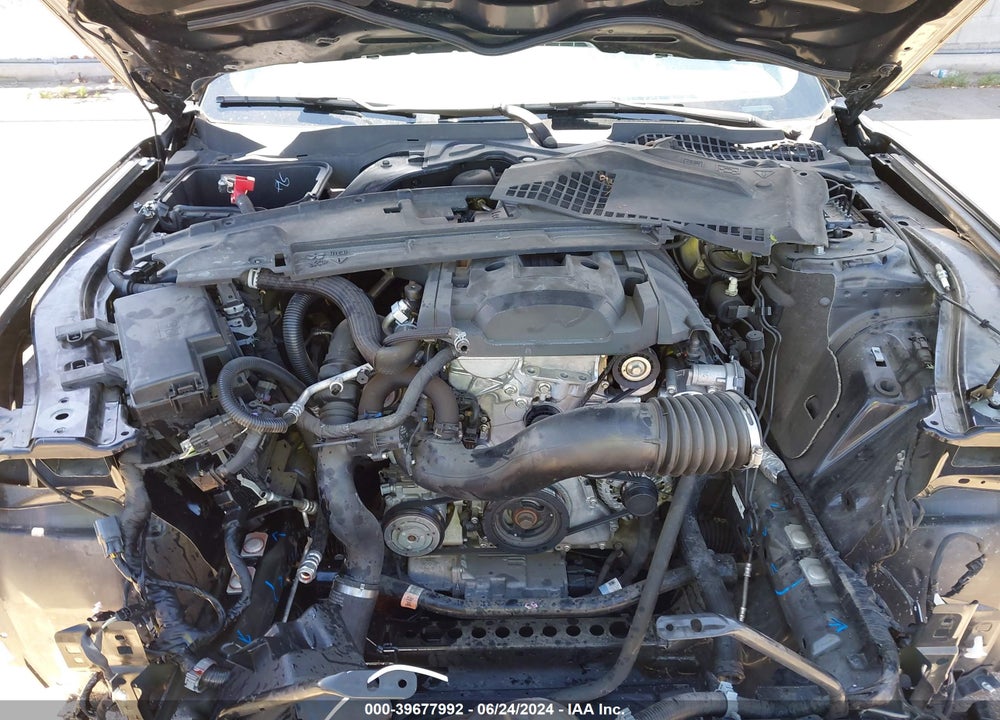 2019 FORD MUSTANG ECOBOOST VIN: 1FA6P8TH4K5153126
