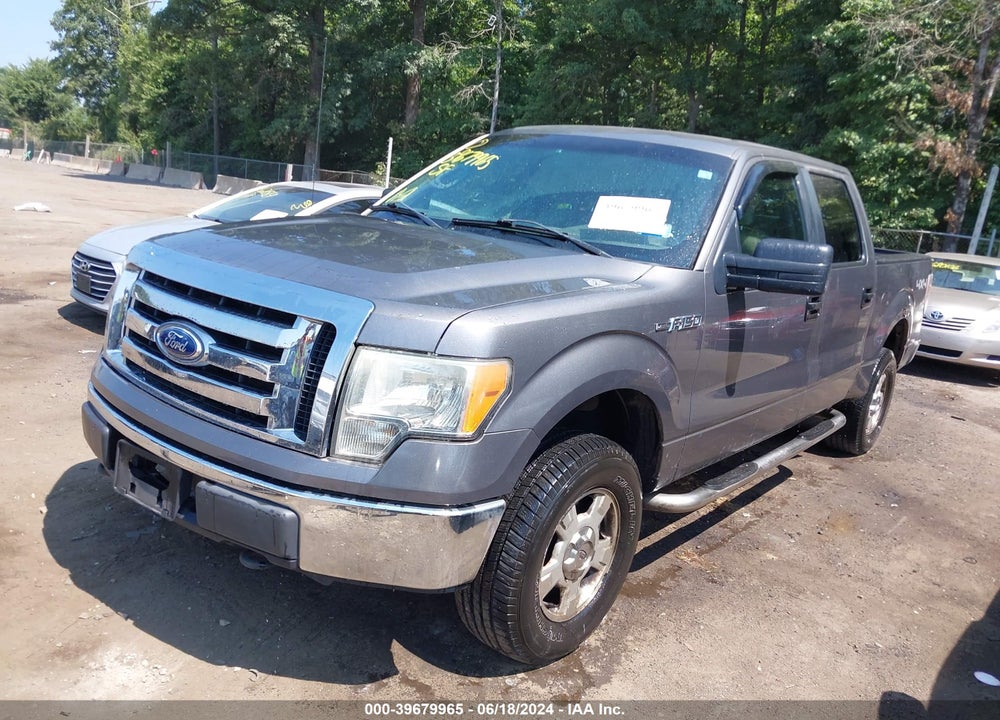 2010 FORD F-150 XL/XLT VIN: 1FTEW1E86AFA25119