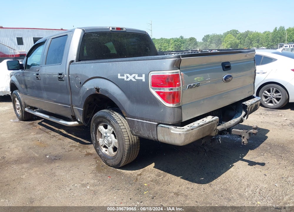 2010 FORD F-150 XL/XLT VIN: 1FTEW1E86AFA25119