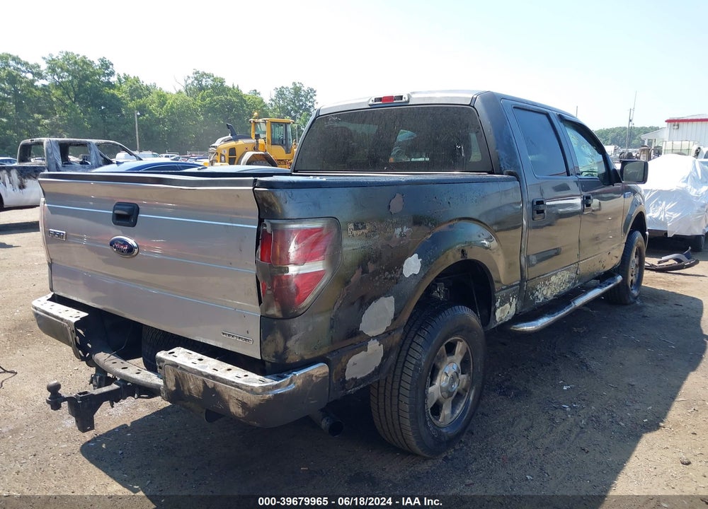 2010 FORD F-150 XL/XLT VIN: 1FTEW1E86AFA25119