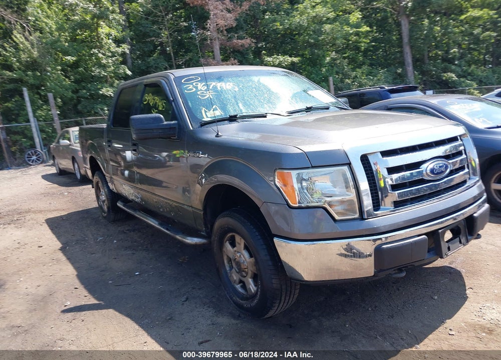 2010 FORD F-150 XL/XLT VIN: 1FTEW1E86AFA25119
