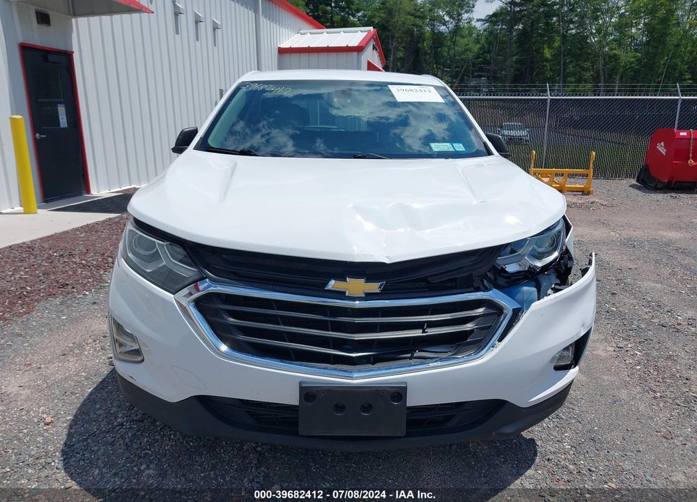 2019 CHEVROLET EQUINOX LS VIN: 3GNAXHEV9KS565787