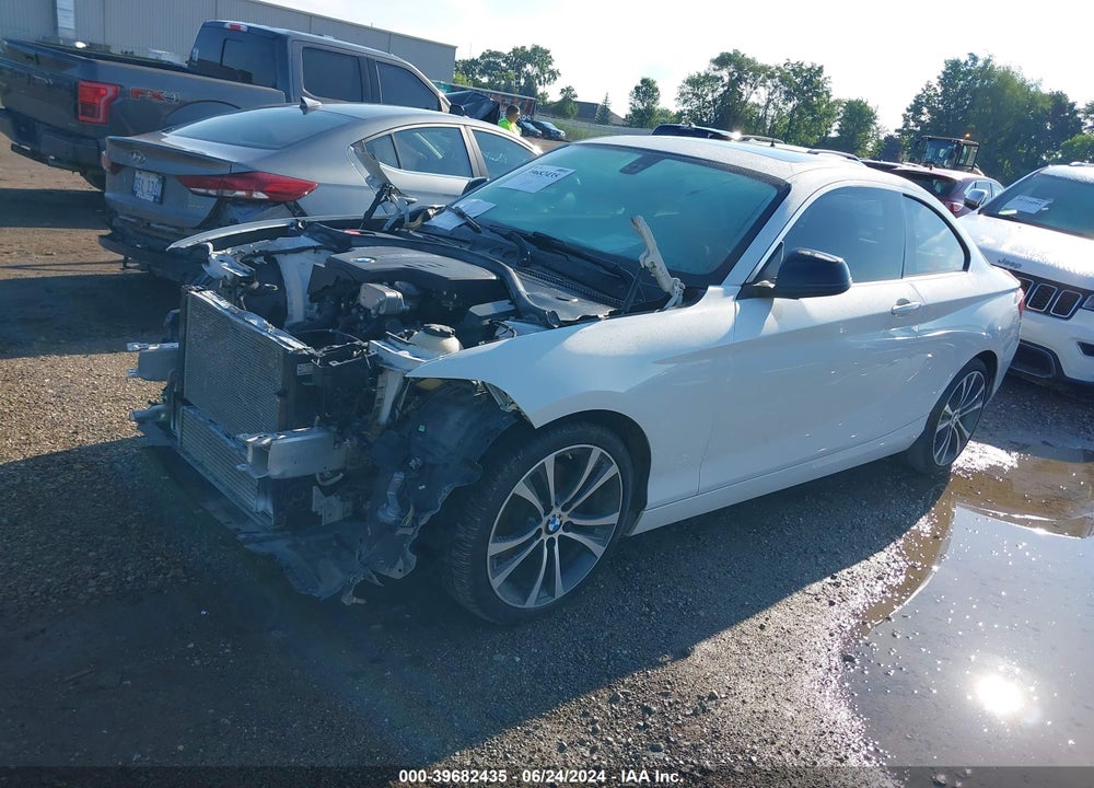 2014 BMW 228I VIN: WBA1F5C54EVW97963