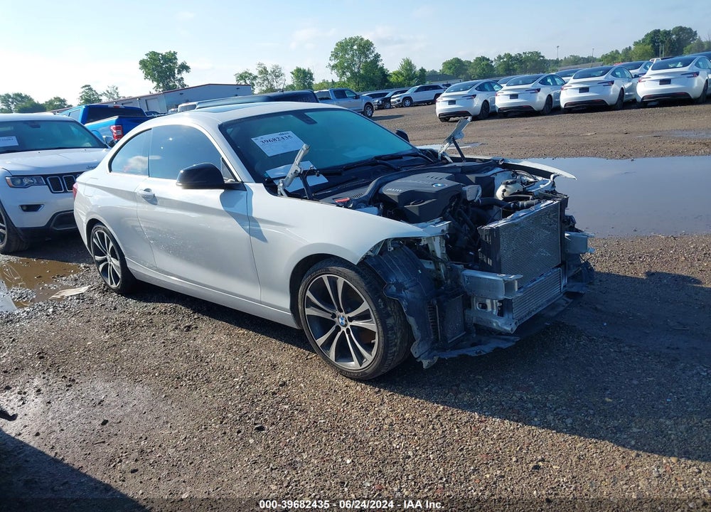 2014 BMW 228I VIN: WBA1F5C54EVW97963
