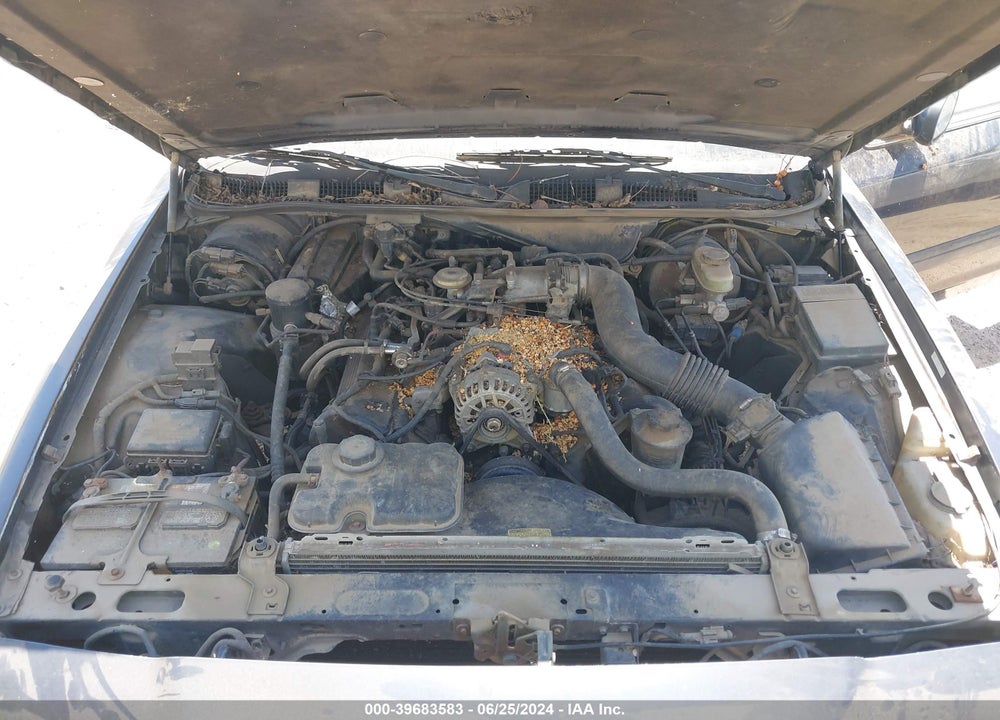1999 FORD CROWN VICTORIA VIN: 2FAFP73W9XX106074