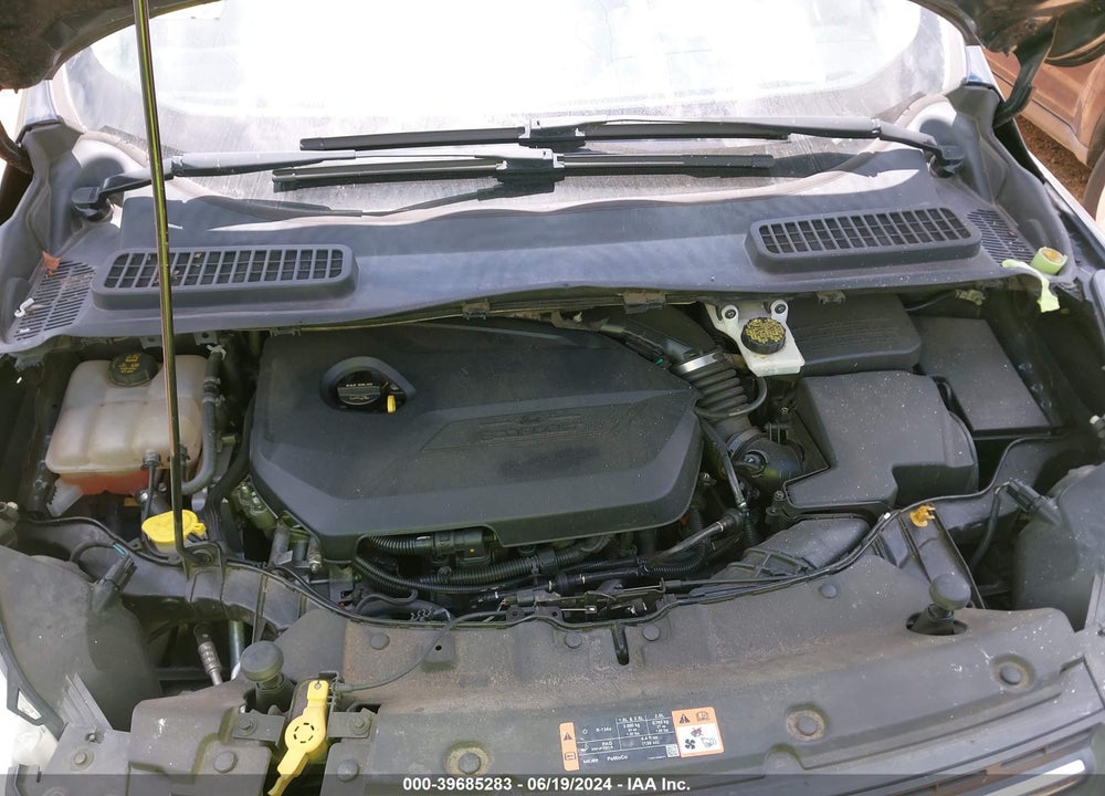 2014 FORD ESCAPE SE VIN: 1FMCU0GX6EUC45563