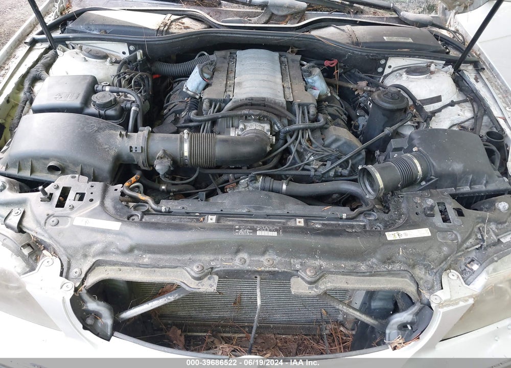 2004 BMW 745LI VIN: WBAGN63494DS46249