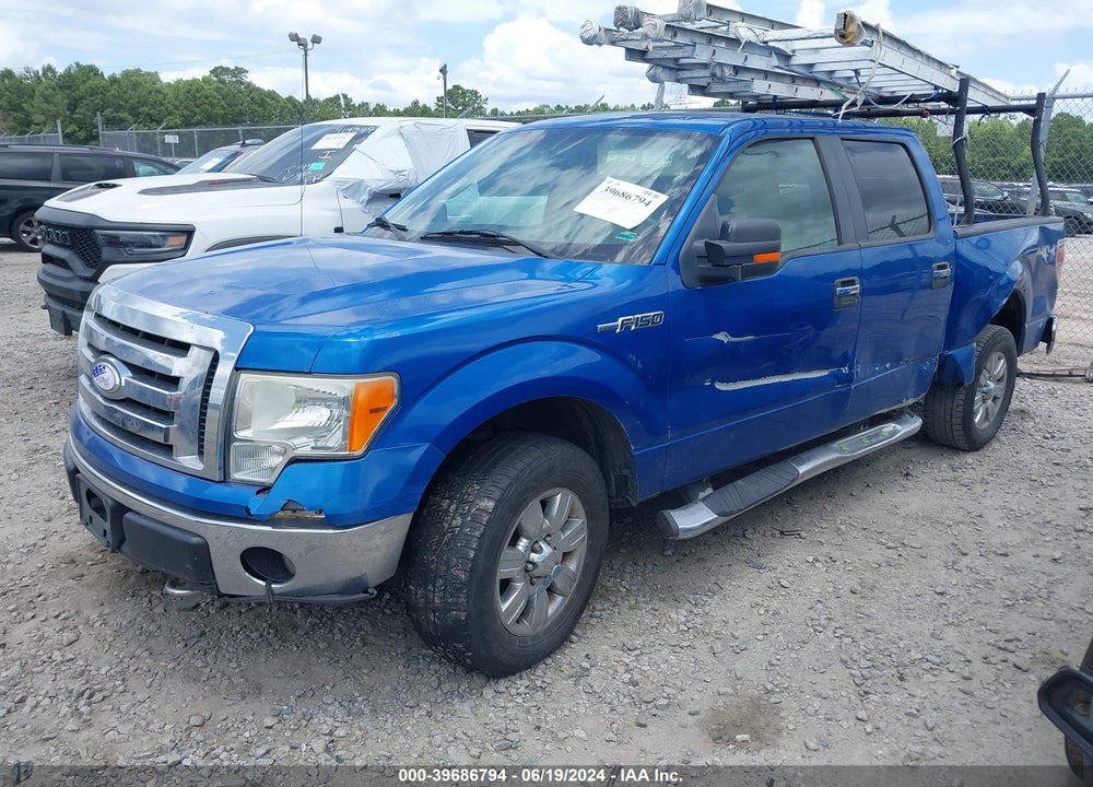 2009 FORD F-150 XLT VIN: 1FTPW14V89FA24663