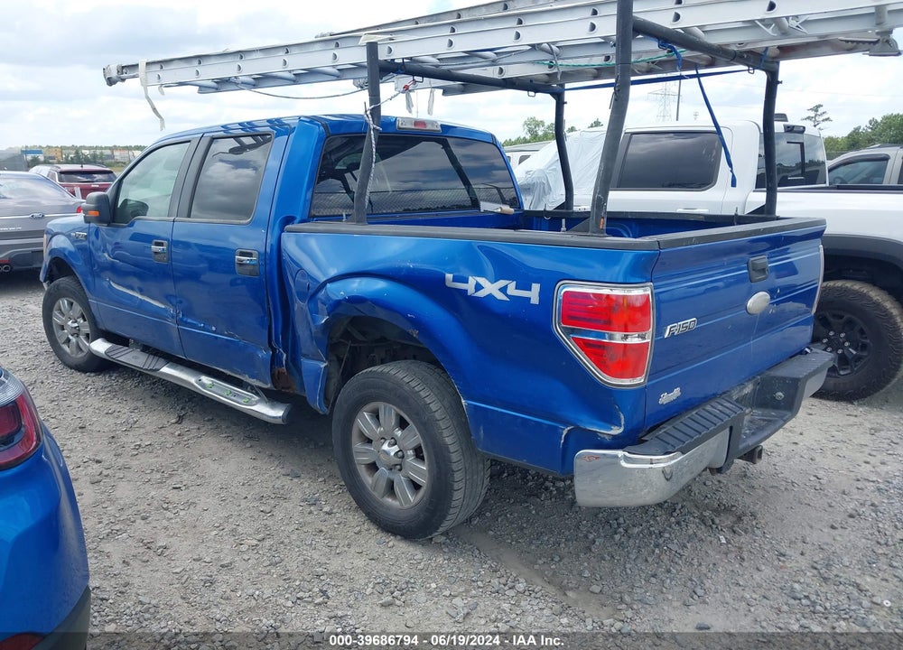 2009 FORD F-150 XLT VIN: 1FTPW14V89FA24663