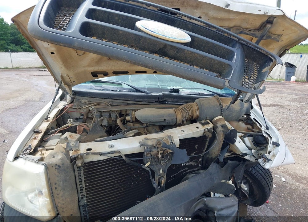 2006 FORD F-150 VIN: 1FTRX12WX6NB85695