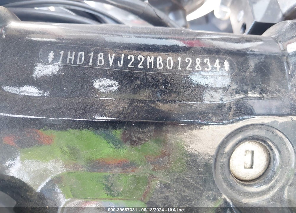 2021 HARLEY-DAVIDSON FXST VIN: 1HD1BVJ22MB012834