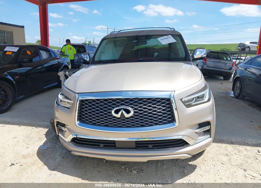 2019 INFINITI QX80 LUXE VIN: JN8AZ2NF3K9683950