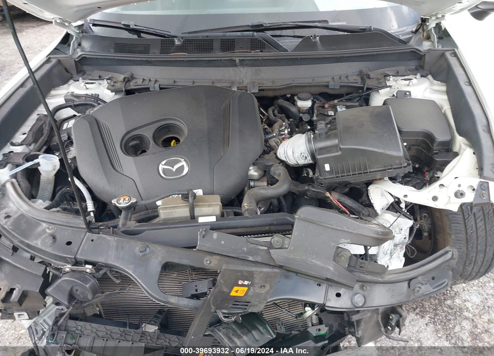 2019 MAZDA CX-9 SPORT VIN: JM3TCABYXK0332194