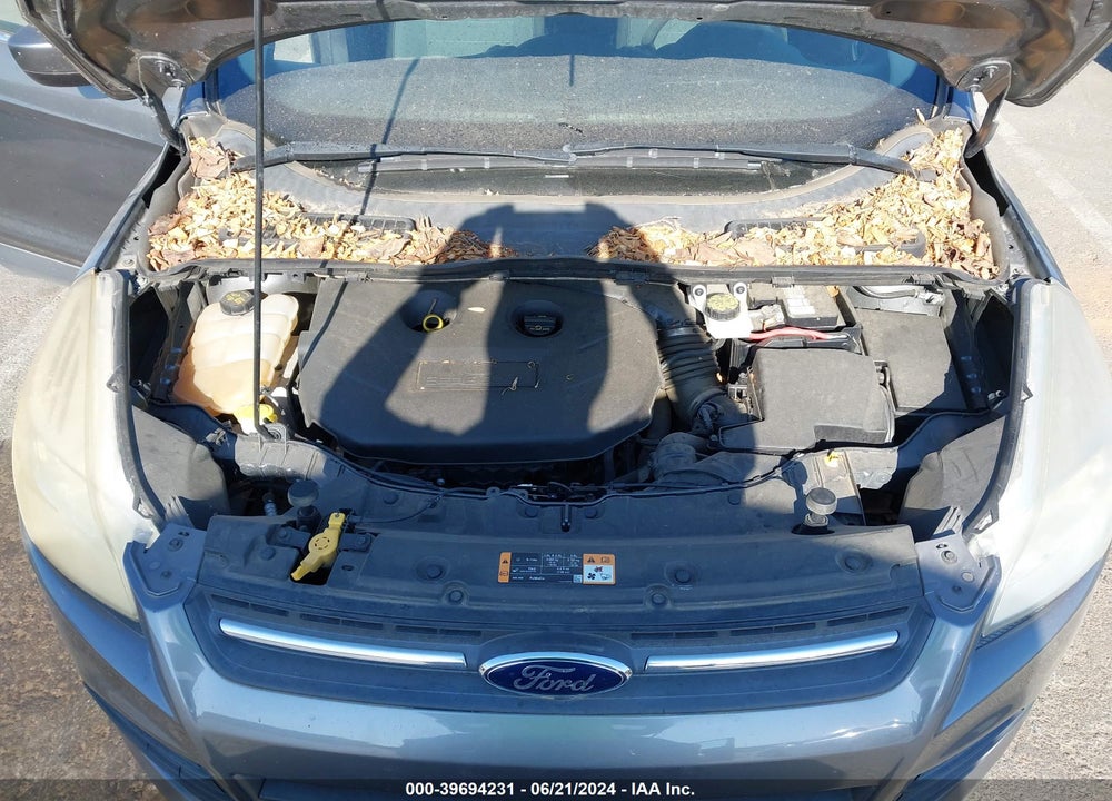 2014 FORD ESCAPE SE VIN: 1FMCU0G92EUC93255