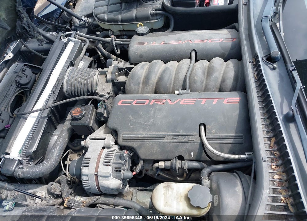 2002 CHEVROLET CORVETTE VIN: 1G1YY32G325133602