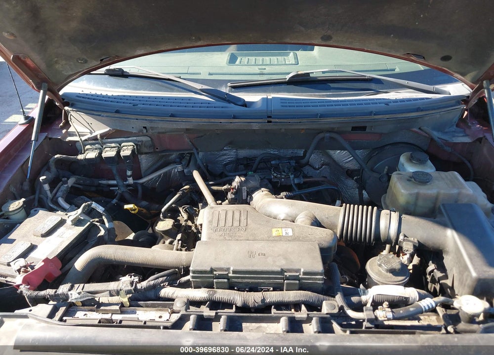 2009 FORD F-150 STX/XL/XLT VIN: 1FTRF12W29KB16556