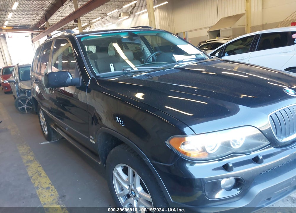 2005 BMW X5 3.0I VIN: 5UXFA135X5LY17193