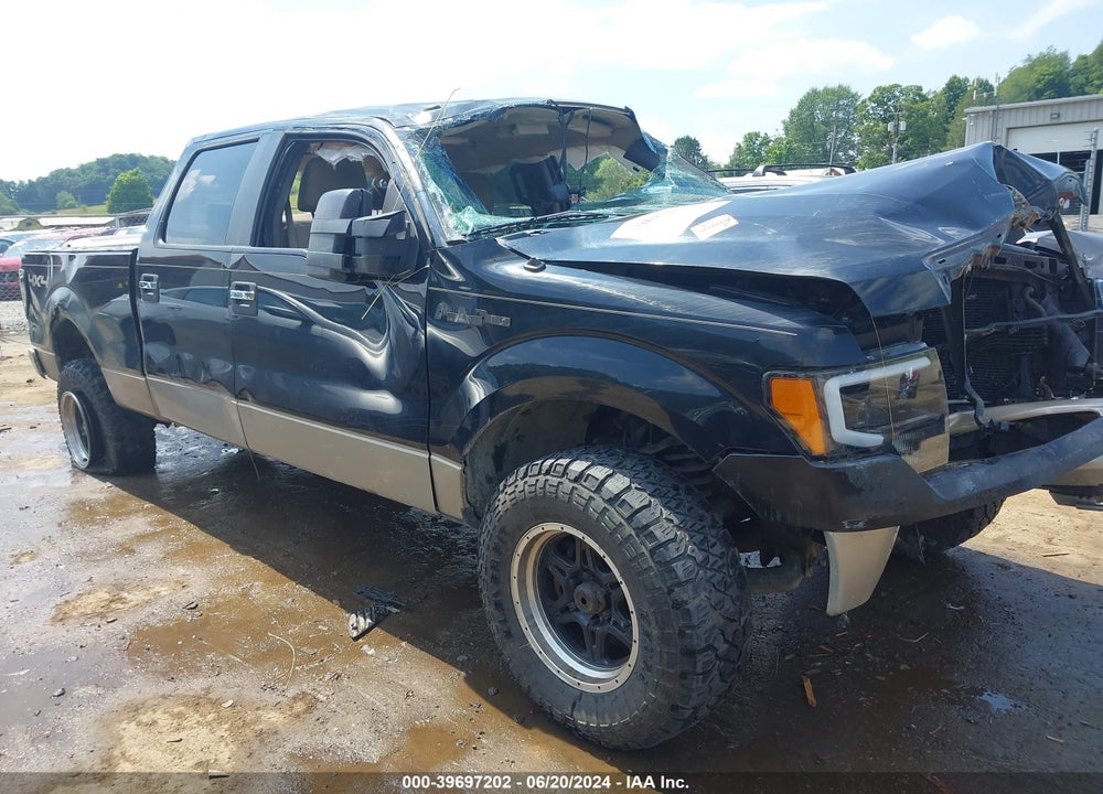 2009 FORD F-150 XLT VIN: 1FTPW14V79FA90069