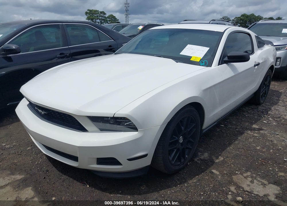 2012 FORD MUSTANG V6 VIN: 1ZVBP8AM0C5284125