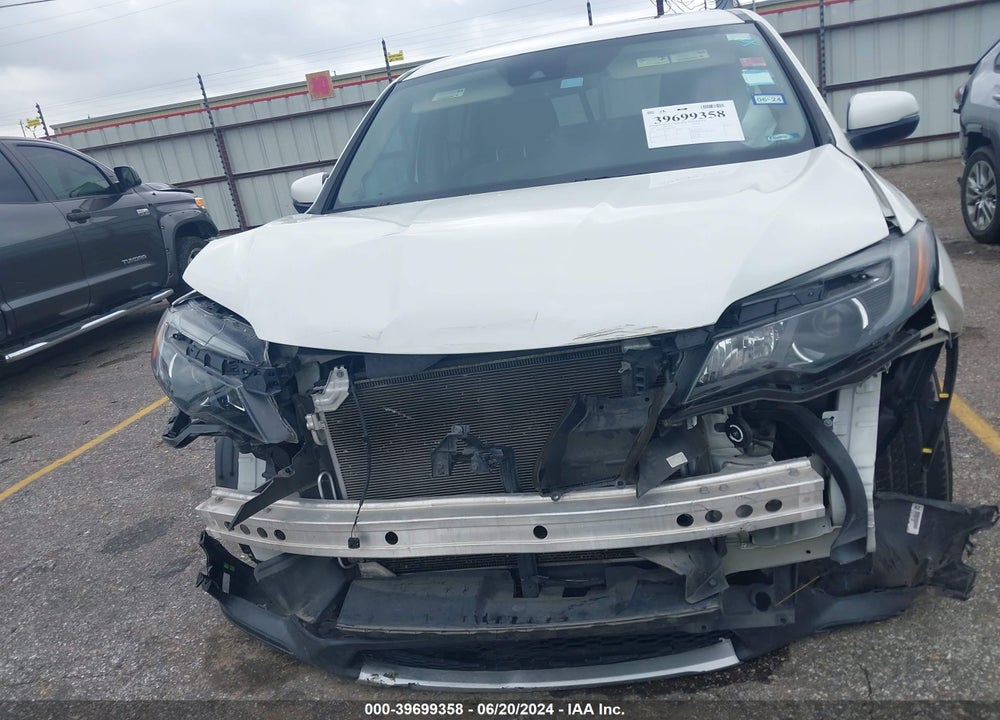 2019 HONDA PILOT EX-L VIN: 5FNYF5H53KB035084
