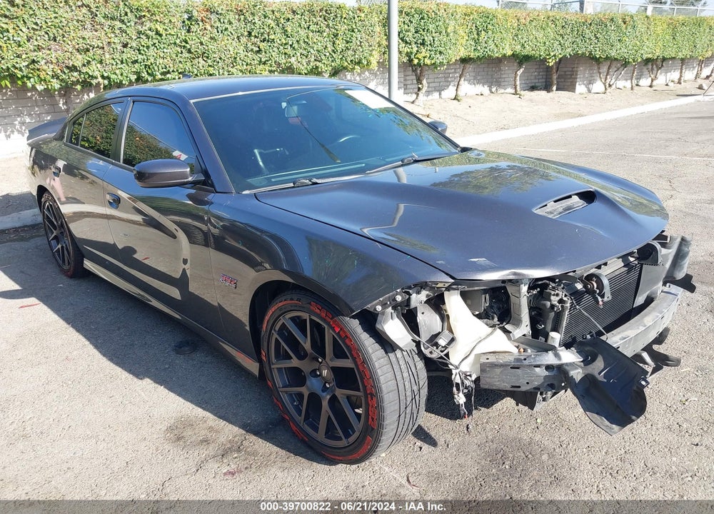 2019 DODGE CHARGER SCAT PACK RWD VIN: 2C3CDXGJ9KH564015