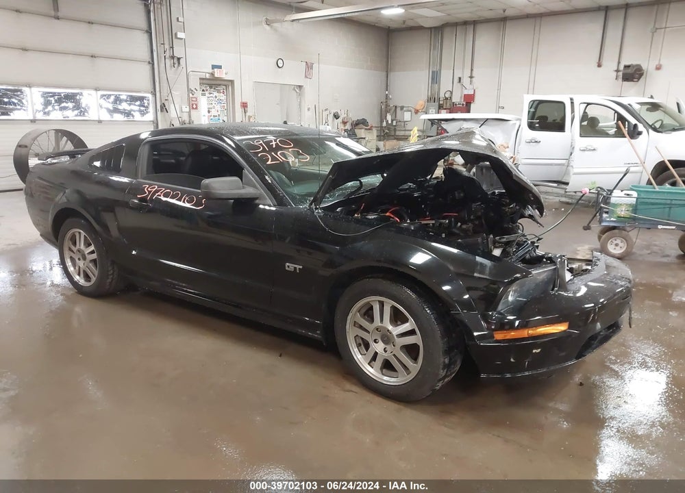 2005 FORD MUSTANG GT DELUXE/GT PREMIUM VIN: 1ZVFT82H755245517