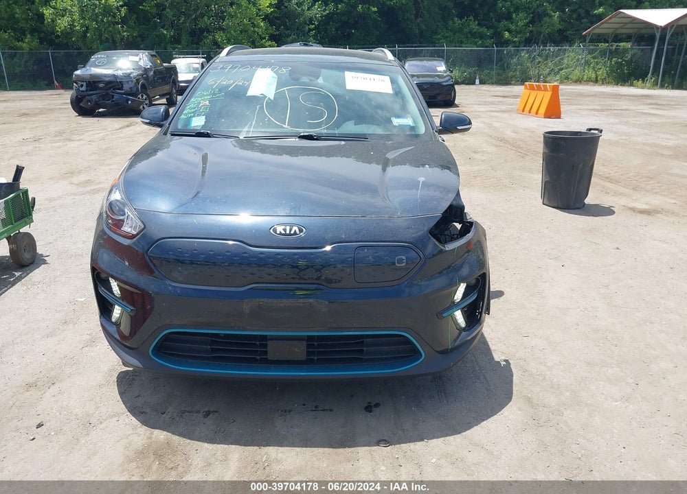 2019 KIA NIRO EV EX VIN: KNDCC3LG3K5028878