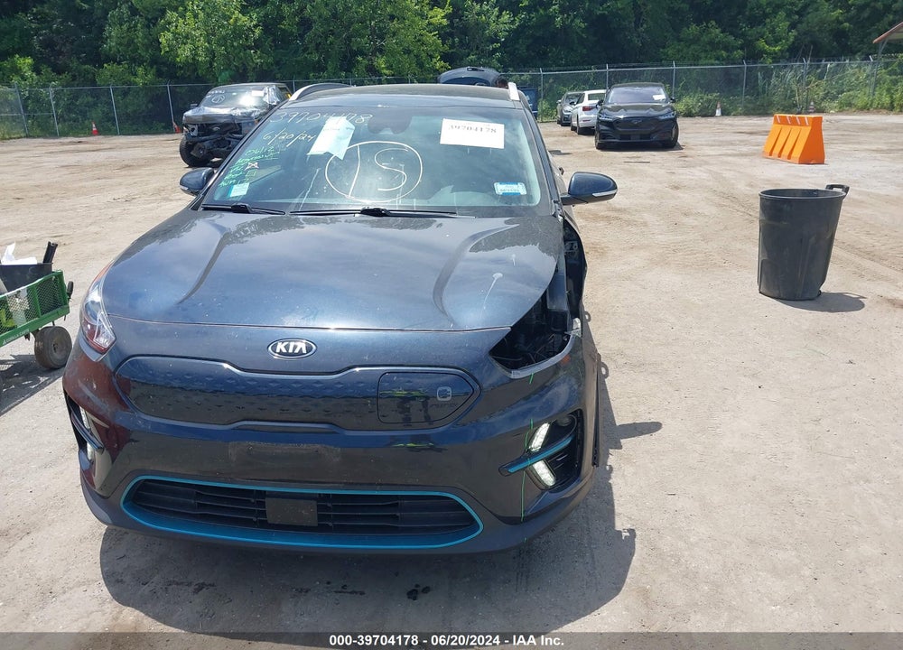 2019 KIA NIRO EV EX VIN: KNDCC3LG3K5028878