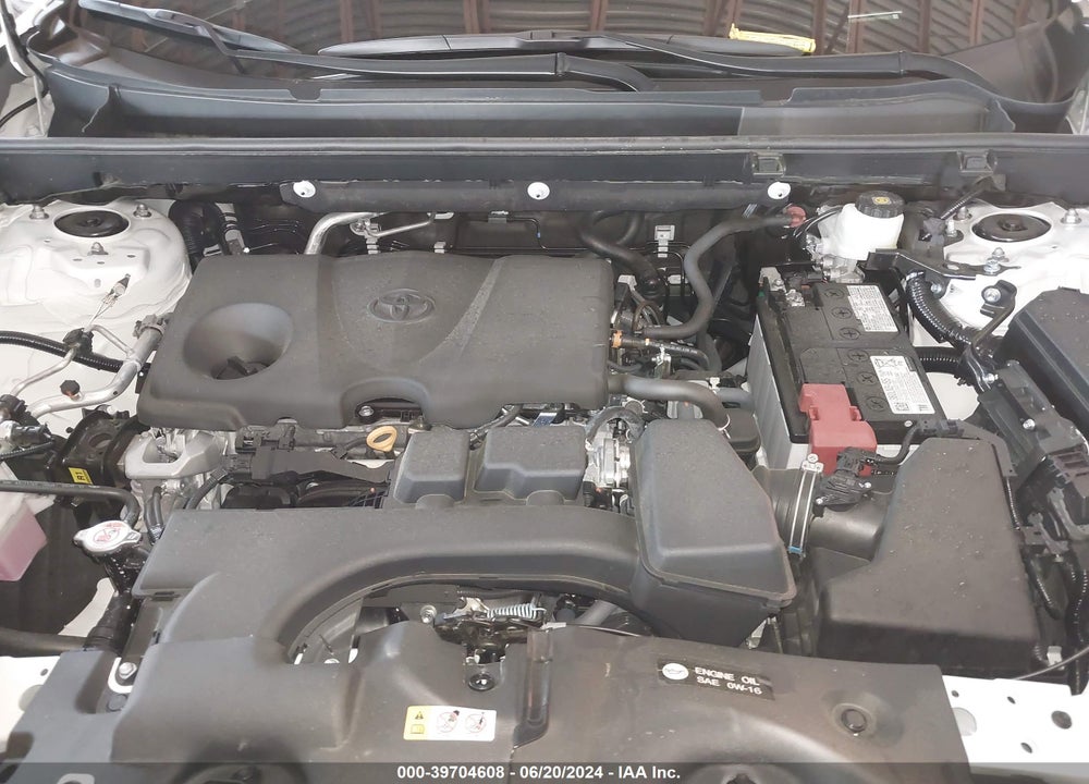 2024 TOYOTA RAV4 XLE VIN: 2T3P1RFV9RC444975