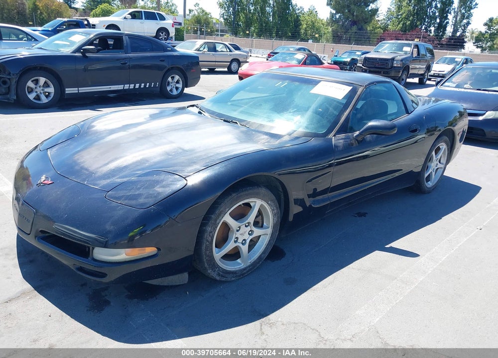 2002 CHEVROLET CORVETTE VIN: 1G1YY22G025128562
