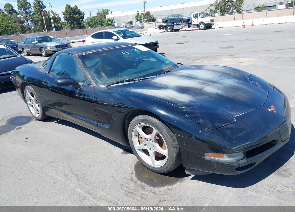 2002 CHEVROLET CORVETTE VIN: 1G1YY22G025128562