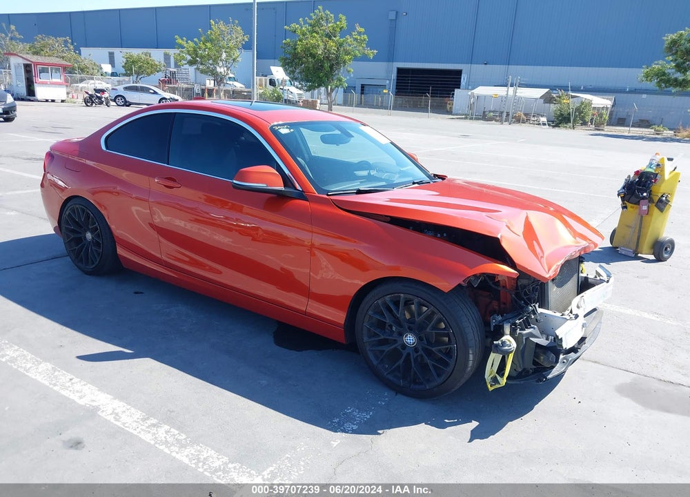 2016 BMW 228I VIN: WBA1F9C56GV742654