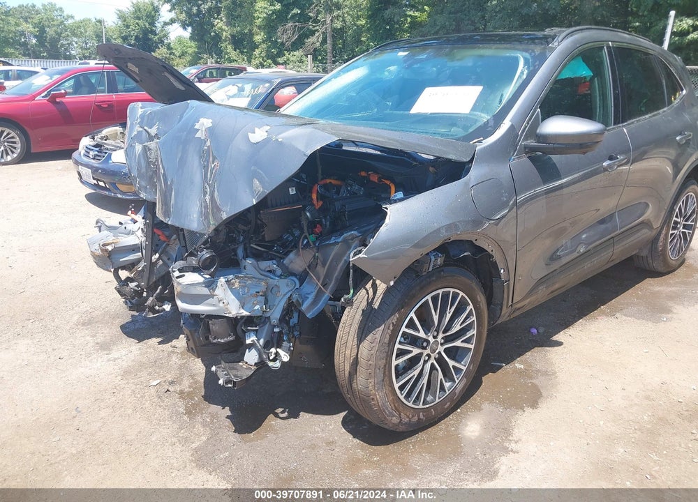 2024 FORD ESCAPE PHEV VIN: 1FMCU0E16RUA15803